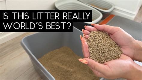 Worlds best litter. Things To Know About Worlds best litter. 